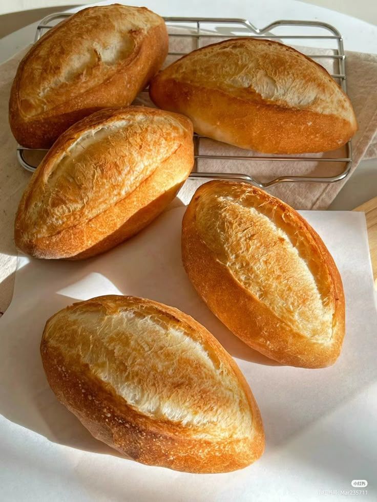 Bolillo